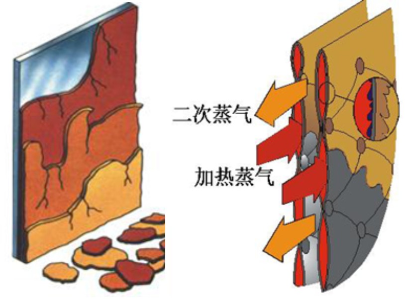 mvr蒸發器